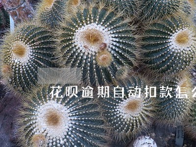 花呗逾期自动扣款怎么退回来 花呗逾期自动扣款怎么退回来