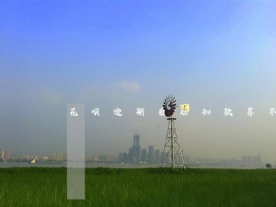 花呗逾期自动扣款算不算失信