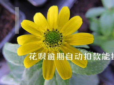 花呗逾期自动扣款能投诉吗 花呗逾期自动扣款能投诉吗