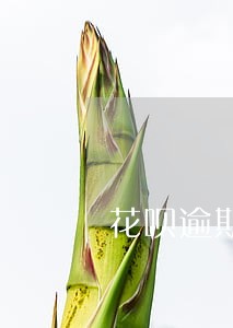 花呗逾期自动扣款能要回来嘛 花呗逾期自动扣款能要回来嘛