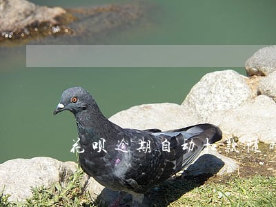 花呗逾期自动扣款随时