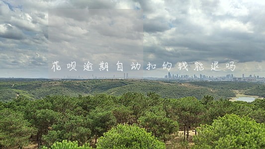 花呗逾期自动扣的钱能退吗 花呗逾期自动扣的钱能退吗