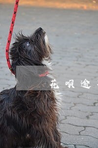 花呗逾期自动扣钱 花呗逾期自动扣钱
