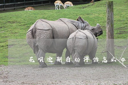 花呗逾期自动评估怎么办 花呗逾期自动评估怎么办