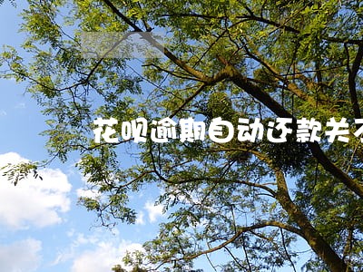 花呗逾期自动还款关不了 花呗逾期自动还款关不了