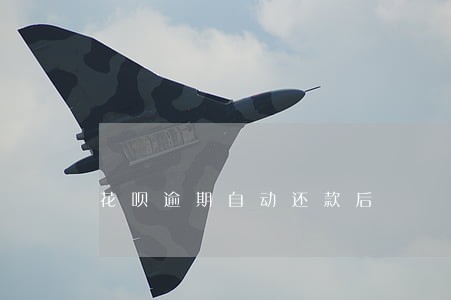 花呗逾期自动还款后 花呗逾期自动还款后