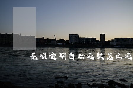花呗逾期自动还款怎么还 花呗逾期自动还款怎么还