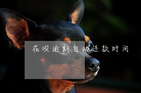 花呗逾期自动还款时间 花呗逾期自动还款时间