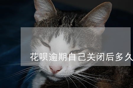 花呗逾期自己关闭后多久能开通 花呗逾期自己关闭后多久能开通
