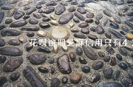 花呗逾期芝麻信用只有422 花呗逾期芝麻信用只有422