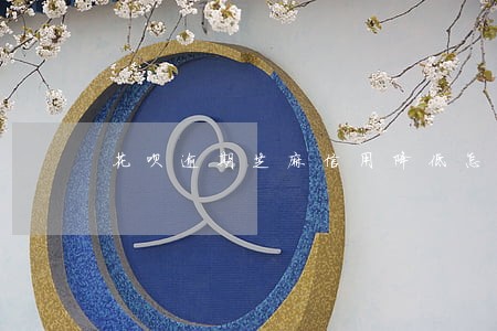 花呗逾期芝麻信用降低怎么办