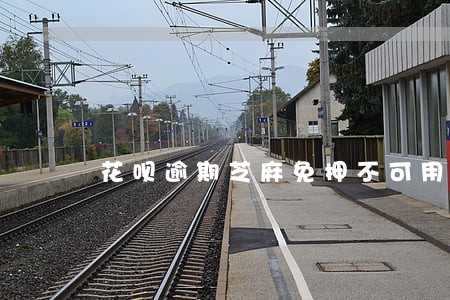 花呗逾期芝麻免押不可用 花呗逾期芝麻免押不可用
