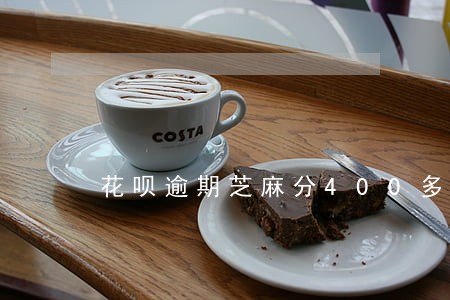 花呗逾期芝麻分400多 花呗逾期芝麻分400多