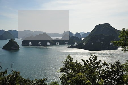 花呗逾期芝麻分470 花呗逾期芝麻分470