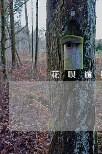 花呗逾期芝麻分497 花呗逾期芝麻分497