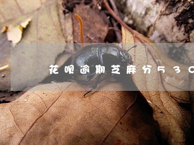 花呗逾期芝麻分530还能用吗 花呗逾期芝麻分530还能用吗