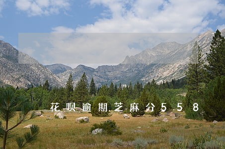 花呗逾期芝麻分558 花呗逾期芝麻分558