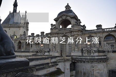 花呗逾期芝麻分上涨 花呗逾期芝麻分上涨