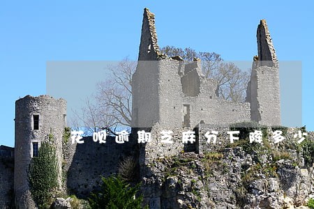 花呗逾期芝麻分下降多少钱 花呗逾期芝麻分下降多少钱