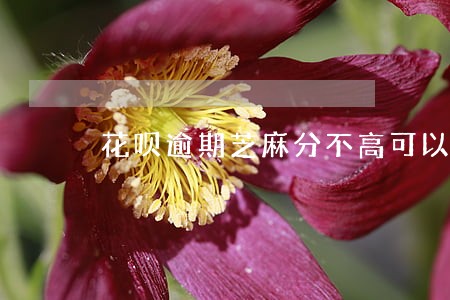 花呗逾期芝麻分不高可以做闲鱼吗 花呗逾期芝麻分不高可以做闲鱼吗