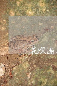花呗逾期芝麻分也可以涨 花呗逾期芝麻分也可以涨
