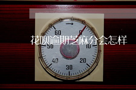 花呗逾期芝麻分会怎样 花呗逾期芝麻分会怎样