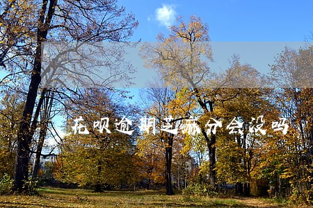 花呗逾期芝麻分会没吗 花呗逾期芝麻分会没吗