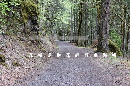 花呗逾期芝麻分会涨吗
