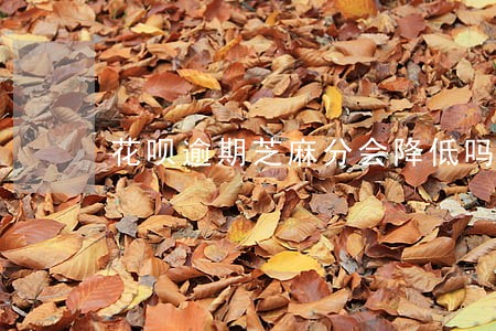 花呗逾期芝麻分会降低吗 花呗逾期芝麻分会降低吗