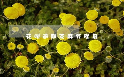 花呗逾期芝麻分修复 花呗逾期芝麻分修复