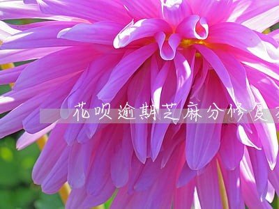 花呗逾期芝麻分修复在哪里 花呗逾期芝麻分修复在哪里