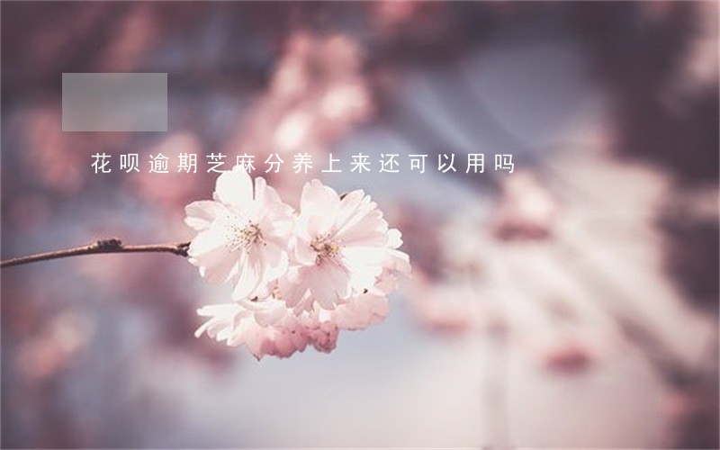花呗逾期芝麻分养上来还可以用吗 花呗逾期芝麻分养上来还可以用吗
