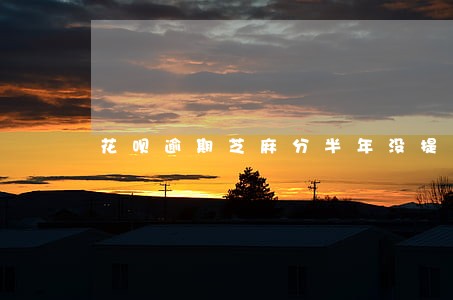 花呗逾期芝麻分半年没提升 花呗逾期芝麻分半年没提升