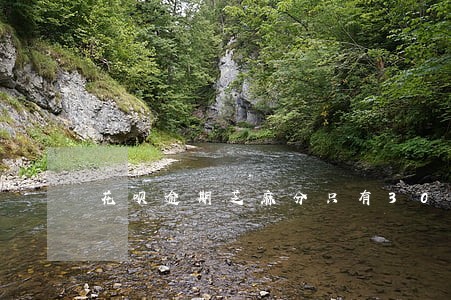 花呗逾期芝麻分只有300多了 花呗逾期芝麻分只有300多了
