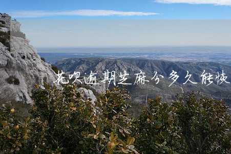 花呗逾期芝麻分多久能恢复 花呗逾期芝麻分多久能恢复