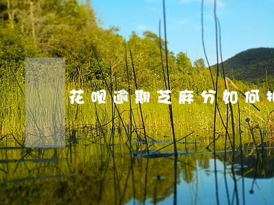 花呗逾期芝麻分如何扣