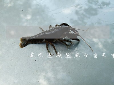 花呗逾期芝麻分当天剪吗 花呗逾期芝麻分当天剪吗