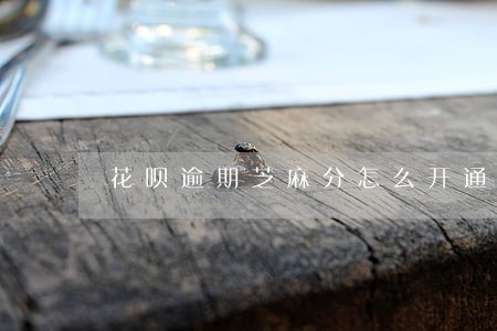 花呗逾期芝麻分怎么开通 花呗逾期芝麻分怎么开通