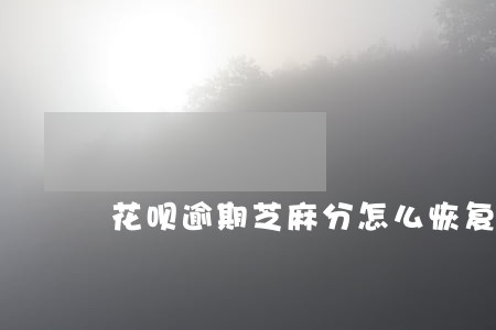 花呗逾期芝麻分怎么恢复 花呗逾期芝麻分怎么恢复