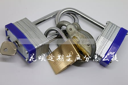 花呗逾期芝麻分怎么提 花呗逾期芝麻分怎么提