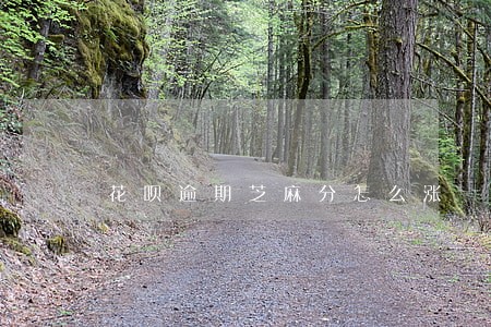 花呗逾期芝麻分怎么涨 花呗逾期芝麻分怎么涨