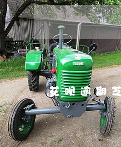 花呗逾期芝麻分扣20 花呗逾期芝麻分扣20