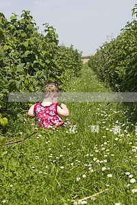 花呗逾期芝麻分掉了可以申诉吗 花呗逾期芝麻分掉了可以申诉吗