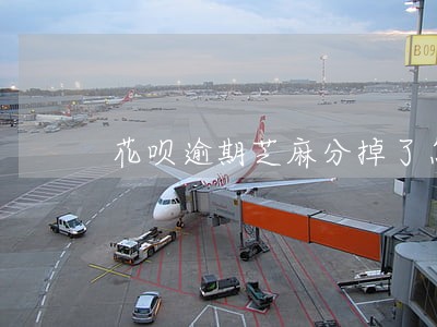 花呗逾期芝麻分掉了怎样恢复 花呗逾期芝麻分掉了怎样恢复