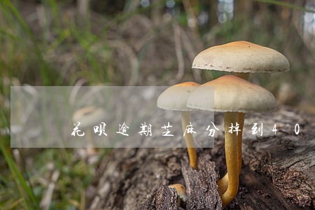 花呗逾期芝麻分掉到400 花呗逾期芝麻分掉到400