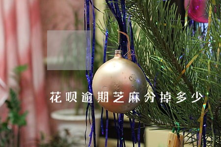 花呗逾期芝麻分掉多少 花呗逾期芝麻分掉多少