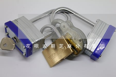花呗逾期芝麻分有影响 花呗逾期芝麻分有影响