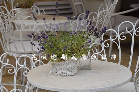 花呗逾期芝麻分狂掉 花呗逾期芝麻分狂掉