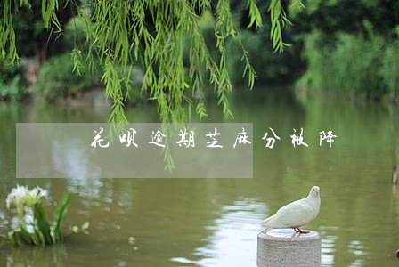 花呗逾期芝麻分被降 花呗逾期芝麻分被降