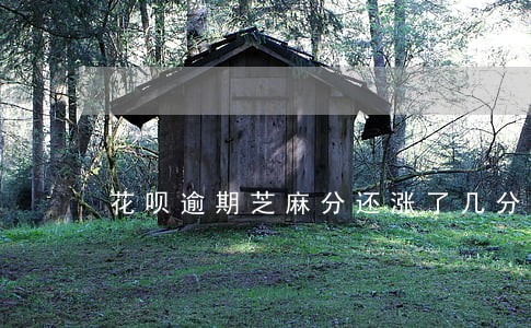 花呗逾期芝麻分还涨了几分 花呗逾期芝麻分还涨了几分